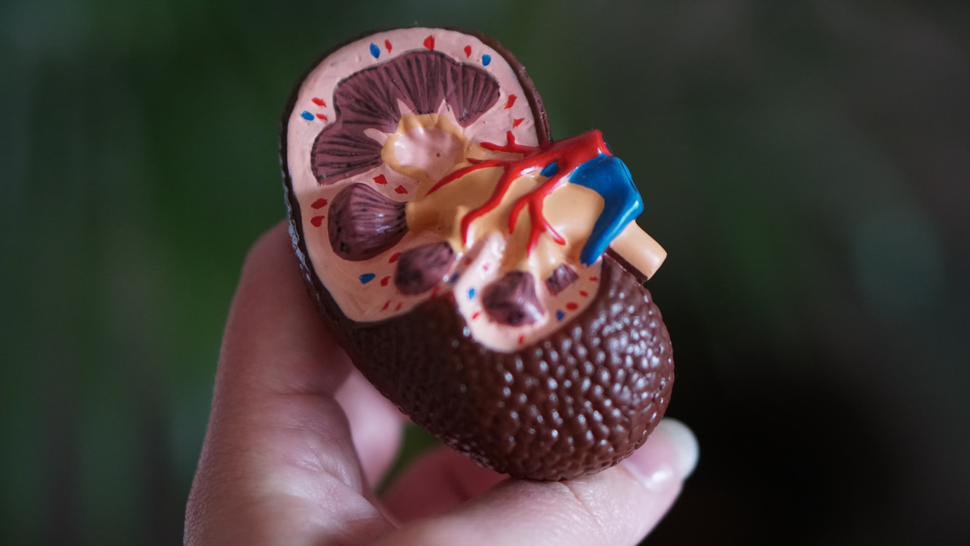 Dr Sujit Cahtterjee Hiranandani Hospital,Dr Sujit chatterjee CEO Hiranandani Hospital,Hiranandani Hospital Powai,Hiranandani Hospital Powai News,Hiranandani Hospital Reviews,Hiranandani Powai Hospital,